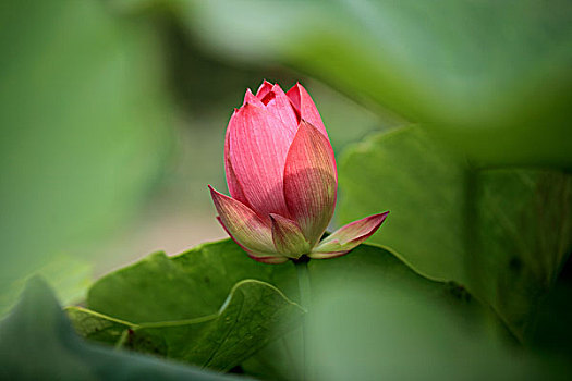xổ số miền nam tuần trước