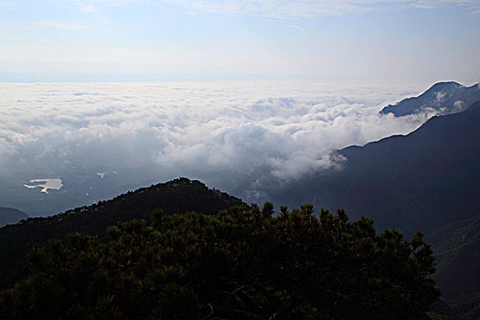 kinh nghiem danh lo bach thu