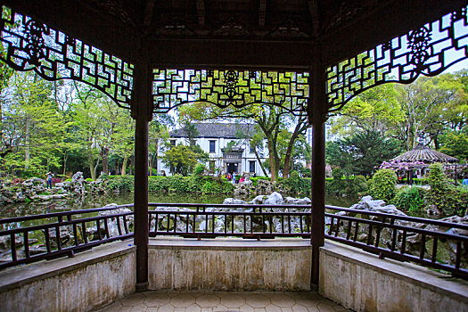 số xo
