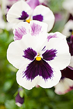 soi cầu xổ số miền bắc xsmb