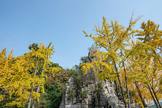 xs hai phong