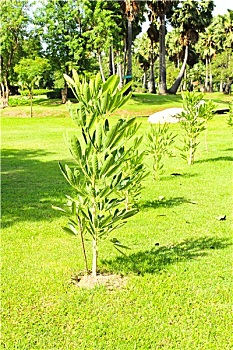 xsmb thứ 4