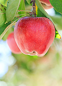 có nên chơi lô đề