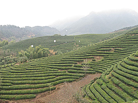 soi cầu lô ba miền
